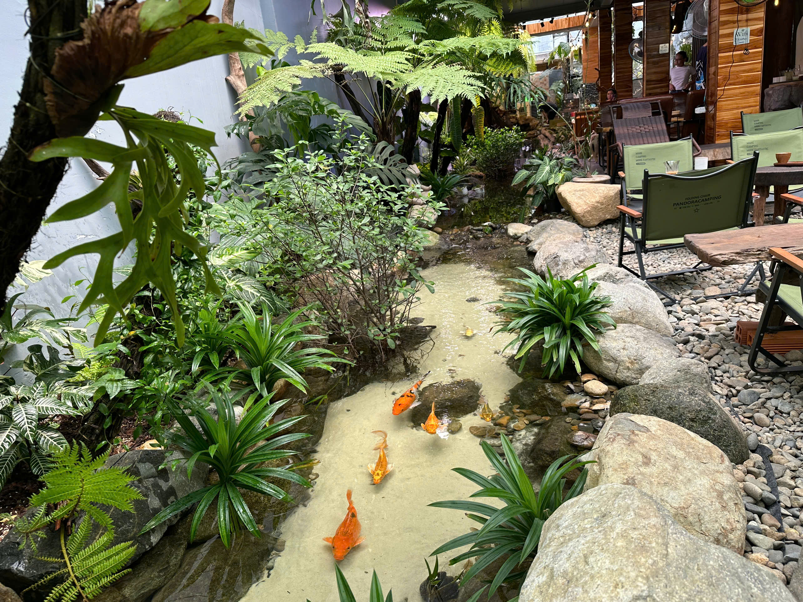 Dòng suối cá Koi uốn lượn bên trong Bill Aquarium Coffee Gò Vấp