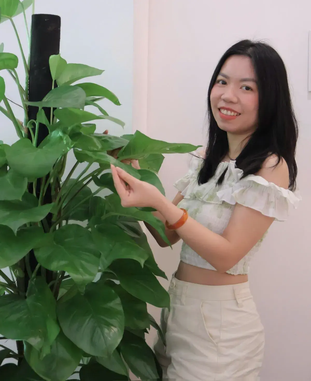 Ảnh hồ sơ công khai